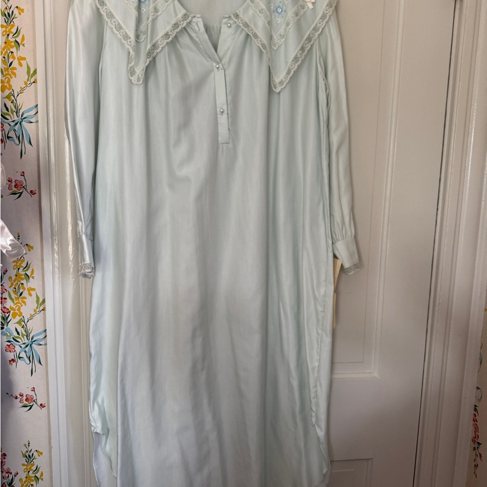 Vintage Blue Nightgown